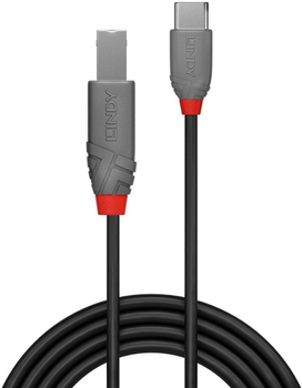 Kabel Lindy USB Type-C - USB Type-B M/M 2 m Black (4002888369428)