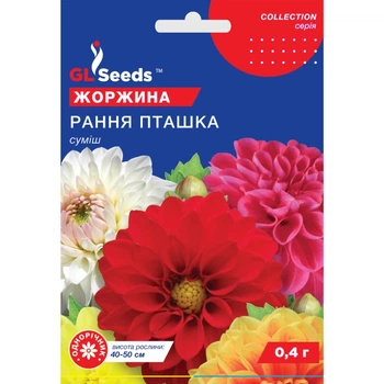 Семена Георгина Ранняя птичка GL Seeds 0.4г (collection1225)
