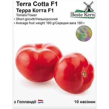 Семена Томат Терра Котта F1 Beste Kern 10шт (For Hobby2537)