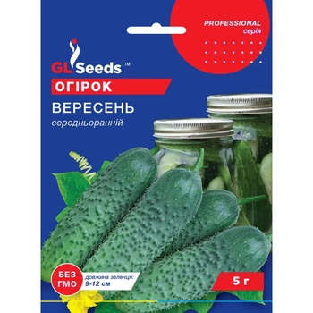 Семена Огурец сортовой Сентябрь GL Seeds 5г (Professional408)