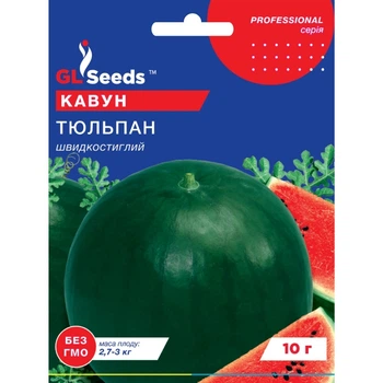 Семена Арбуз Тюльпан GL Seeds 10г (Professional279)