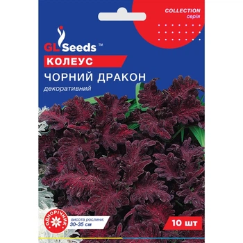 Семена Колеус Черный дракон GL Seeds 10шт (collection1241)