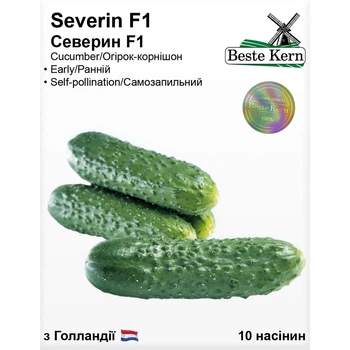Семена Огурец партенокарпик Северин F1 Beste Kern 10шт (For Hobby2566)