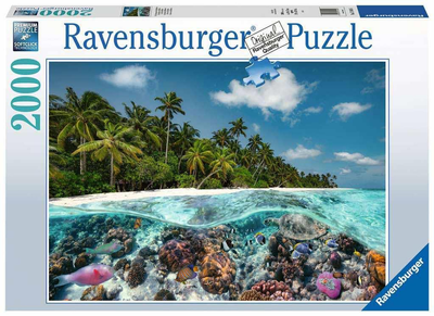 Puzzle Ravensburger A Dive In The Maldives 2000 elementów (4005556174416)