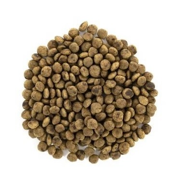Sucha karma dla psów Brit Care Mini Grain-Free Sensitive 2 kg (8595602520169)