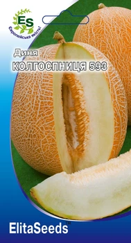 Дыня Колхозница 593 (2г.)