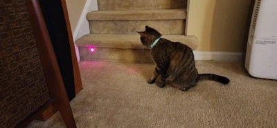 Інтерактивна смарт іграшка, нашийник з вбудованим лазером для котів Smart Laser