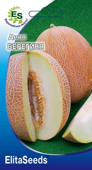 Дыня Берегиня 2г