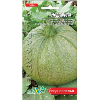 Семена тыква Ждана среднеспелый 2 г
