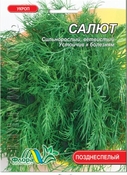 Насіння кріп Салют кущовий пізньостиглий 20 г