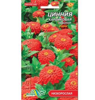 Семена Цинния карликовая красная однолетник низкорослый 0.2 г