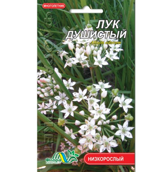 Семена лук душистый белый многолетник низкорослый 0.25 г