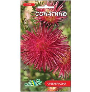 Насіння Айстра Сонатіно голчаста малиново-рожевий 0.3 г