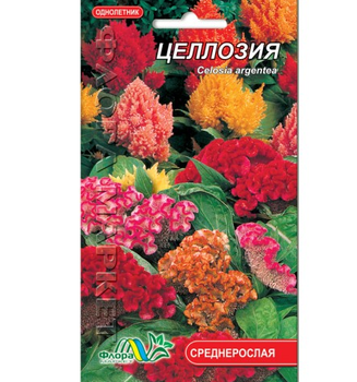Насіння целозію суміш різні кольори однорічник середньорослий 0.15 г