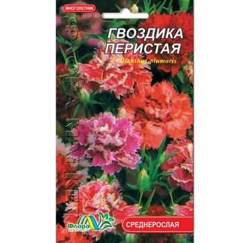 Семена Гвоздика перистая разные цвета многолетник среднерослый 0.25 г