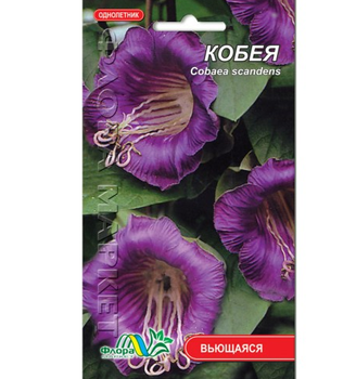Семена кобея фиолетовая вьющаяся однолетник среднерослый 0.3 г