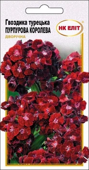 Семена Гвоздика Пурпурная королева, турецкая, 0,3 г (НК Элит)