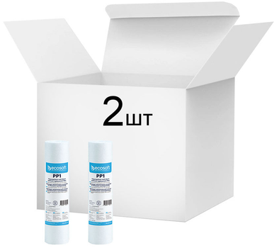 Набор картриджей Ecosoft CPV25101ECO 2.5" х 10" 1 МКМ из вспененного полипропилена 2 шт