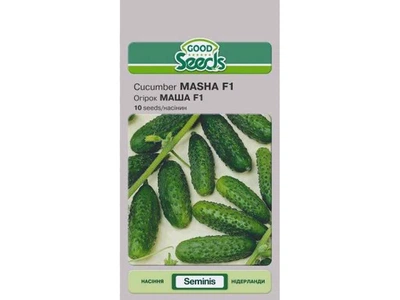 Огірок GOOD SEEDS (10 пачок) МАША F1 [10 насінин]