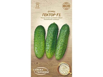 Огірок СЕМЕНА УКРАИНЫ (20 пачок) "Гектор F1" ОВ 0,25г (рс)