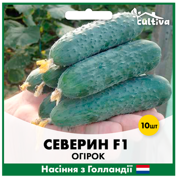 Голландские семена Beste Kern Огурец Северин F1 10 шт