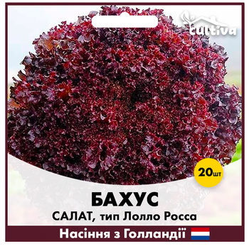 Голландские семена Hazera Салат Бахус тип Лолло Росса 20 шт