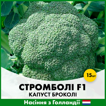 Голландские семена Hazera Капуста брокколи Стромболи F1 15 шт