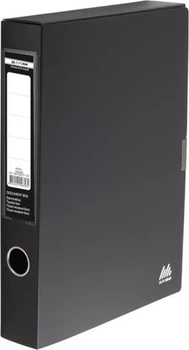 Папка-бокс для документів на липучці, 235х320х55 мм (BM.3201-01)