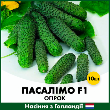 Голландские семена Syngenta Огурец Пасалимо F1 10 шт