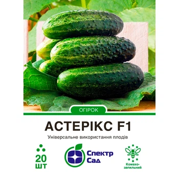 Голландские Семена Bejo Огурец Астерикс F1 20 шт