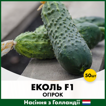 Голландские семена Syngenta Огурец Эколь F1 50 шт
