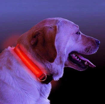 LED нашийник, повідець для тварин собак і кішок червоний