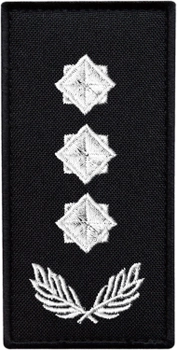 Шеврон нашивка на липучці IDEIA погон звання ДСНС Полковник, вишитий патч 5х10 см (2200004309439)