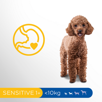 Sucha karma dla psów Perfect Fit Sensitive 1+ z indykiem 825 g (4008429136184)