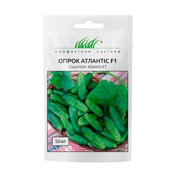 Семена огурца Атлантис F1, 50 шт, Bejo, Голландия, Професійне насіння