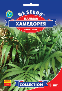 Семена Пальма Хамедорея, бамбуковая, 5 шт (GL Seeds)