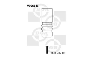 Клапан впускний Connect 1.8 TDCi 02-, BGA (V996143)