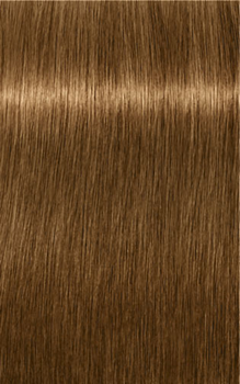 Стійка фарба для волосся Schwarzkopf Igora Royal Absolutes 9 - 460 Extra Light Blonde Beige Chocolate Natural 60 мл (4045787623505 / 7702045432626)