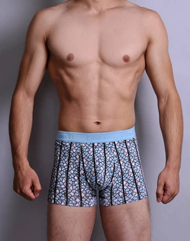 Мужские трусы - боксеры C+3 829 XXL голубые