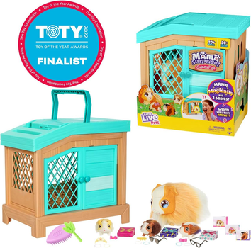 Live 2024 pets toys