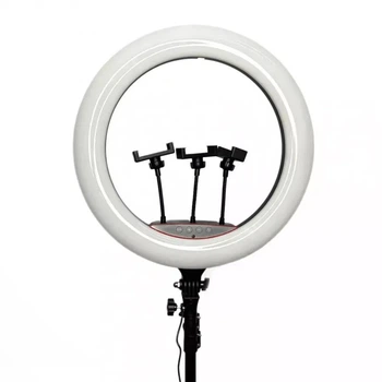Лампа Кольцевая LED 45 cm 18" 256 Lights Touch Switch Adapter LJJ-45