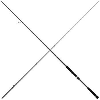 Спиннинг Daiwa Seabass Hunter X 100MH-R 3.05m 12-60g