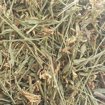 Дрок красильный/кровожадный трава сушеная 100 г