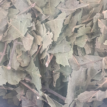 Грецкий орех лист сушеный 100 г