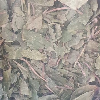 Грушанка круглолистная лист сушеный 100 г