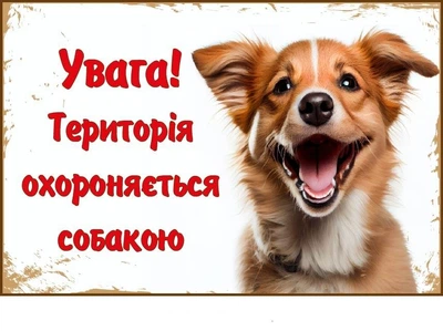 Табличка пластикова "Територія охороняється собакою" зі світлиною пса д-9210