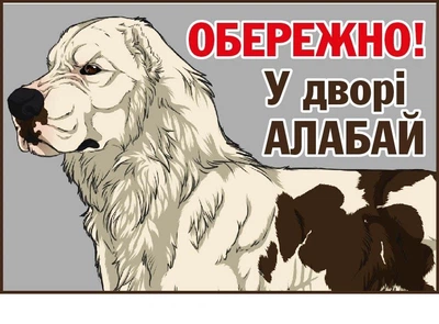 Табличка "Обережно! У дворі алабай! (д-92620)