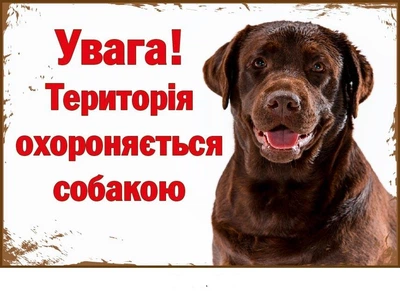 Табличка-попередження "Увага! Територія охороняється собакою" із лабрадором д-9209