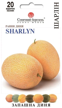 Дыня Шарлин (сахарная) 20 шт