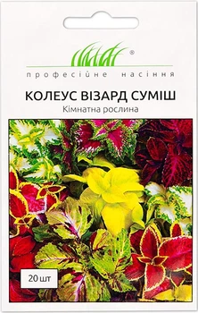 Колеус Визард смесь Профессиональные семена 20 шт